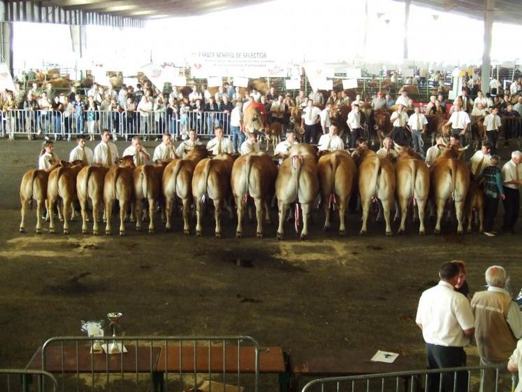 La remise des prix spéciaux du concours national de la race parthenaise s’est clôturée avec panache.