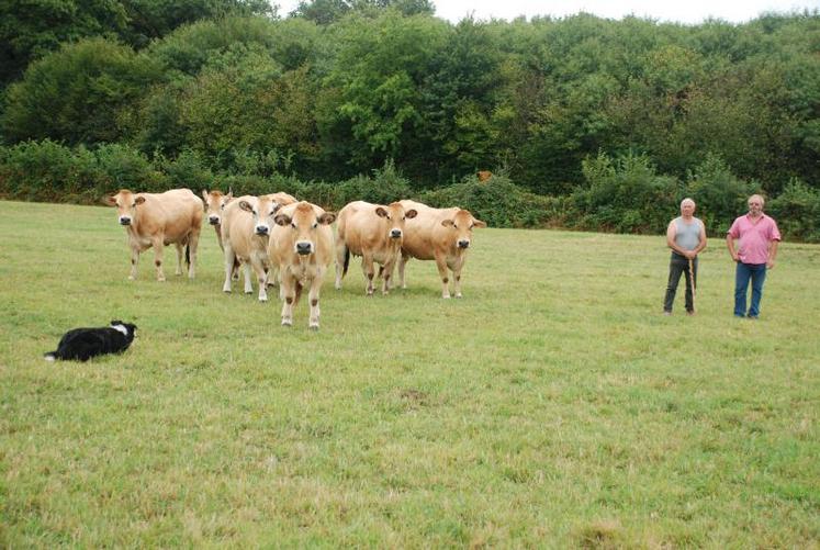 François Nargeot et Eric Bonneau encouragent les éleveurs à venir découvrir le travail des chiens de troupeau. L’association dont ils sont les président et vice-président (ACT Poitou-Charentes) verse une aide aux éleveurs qui investissent dans un premier animal LOF.