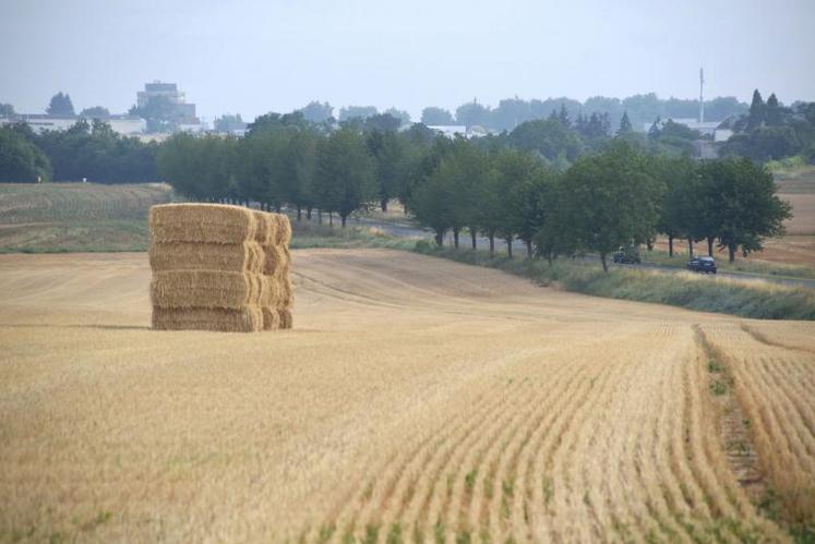 Les paillers doivent observer une distance d’au moins 30 m avec une route, une emprise de voie ferrée ou encore un boisement.