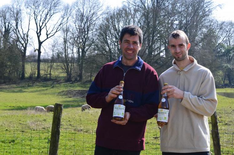 Sur les bouteilles de jus de pomme pétillant présentées par Jean-Fabrice Mimeau et Geoffrey Trouvé, trône fièrement la feuille de chêne d’or 2016.