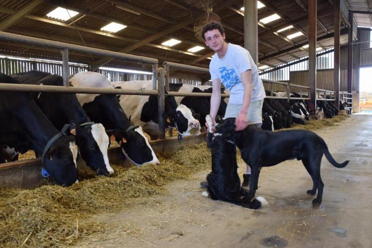 Si Axel Cornuault réalise des économies sur les coûts alimentaires, il n’hésite pas en revanche à investir au niveau sanitaire pour protéger ses animaux. Son objectif est de descendre le coût de production à 270 euros/1000 litres.