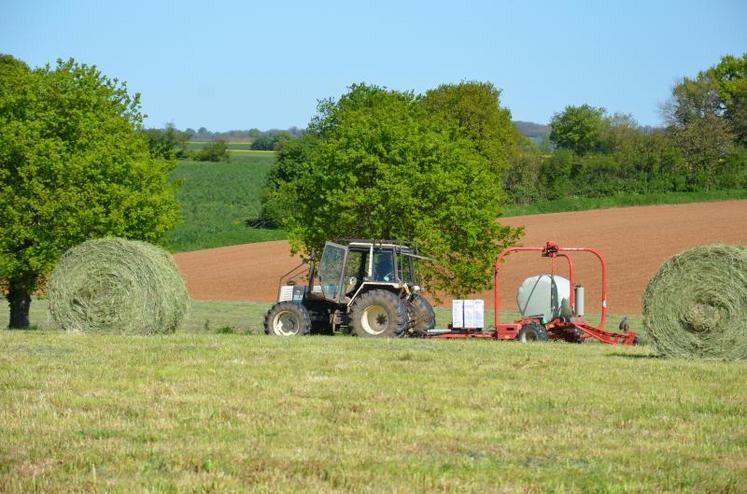 Si le volume d’herbe est moindre cette année, sa qualité permet d’envisager sereinement l’avenir alimentaire des cheptels.