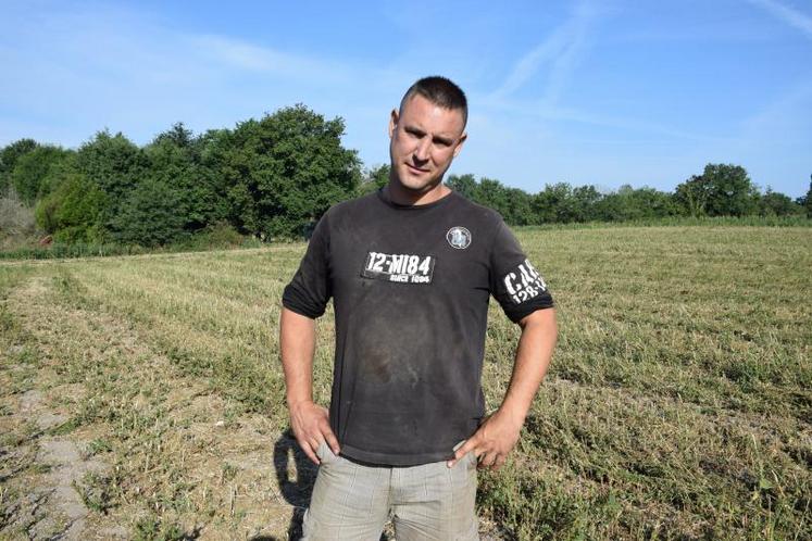 Arnaud Perochon, sur sa parcelle de maïs qui a été ravagée par les corbeaux en juin et en juillet, au lieu-dit Les Grands Villages, à Clessé.