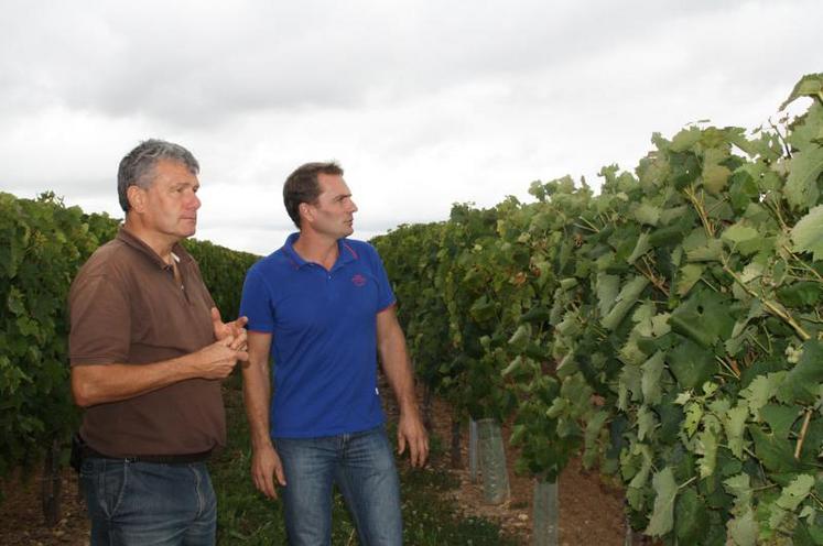 Michel Girard, technicien viticole à la Chambre d’agriculture et Yohann Mérigeault mettent en avant l’intérêt de prospecter dans les vignes pour lutter contre la flavescence dorée.