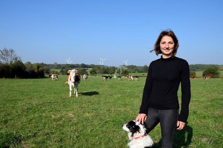 Sarah Baudron, avec l'un de ses quatre Border collies et ses vaches, au lieu-dit Les Belles Foyes,
à Vernoux-en-Gâtine.