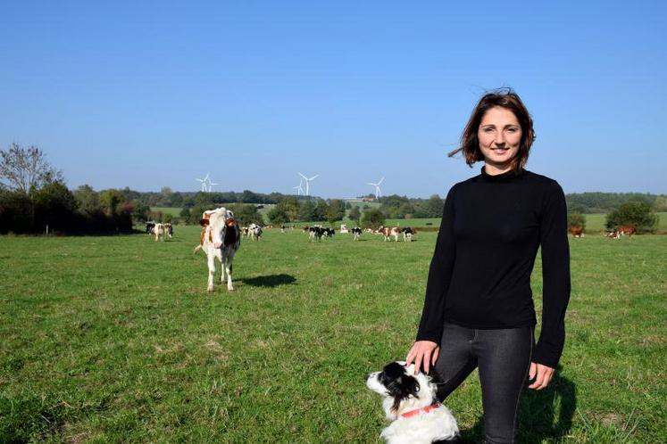 Sarah Baudron, avec l'un de ses quatre Border collies et ses vaches, au lieu-dit Les Belles Foyes,
à Vernoux-en-Gâtine.