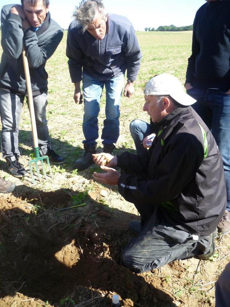 Les participants ont acquis les méthodes d’observation des sols et des tests simples qu’ils ont pu ensuite appliquer sur les parcelles.