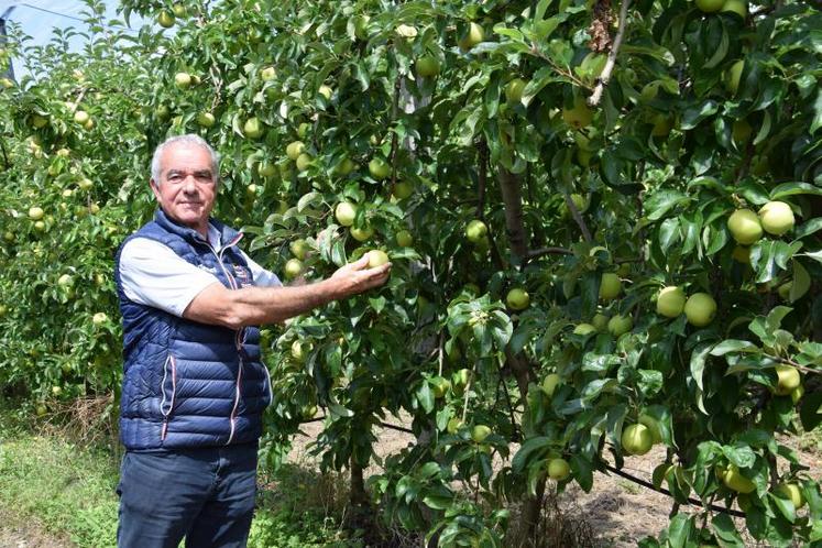 Daniel Sauvaitre, président de l'Association nationale Pommes Poires