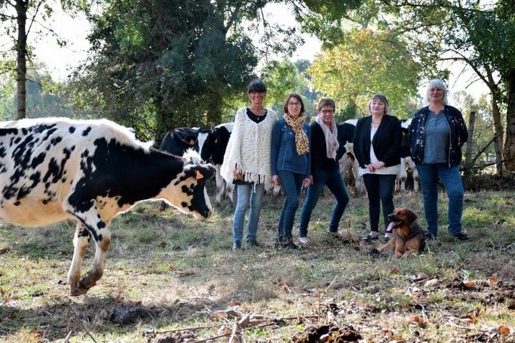 Agnès Renaud, Christiane Morisset, Christine Souchard, Catherine Fréjou et Nathalie Bouteiller ont mobilisé 80 personnes autour de leur projet. Dimanche 21 octobre, les agricultrices ouvriront la voie aux échanges en terre agricole.