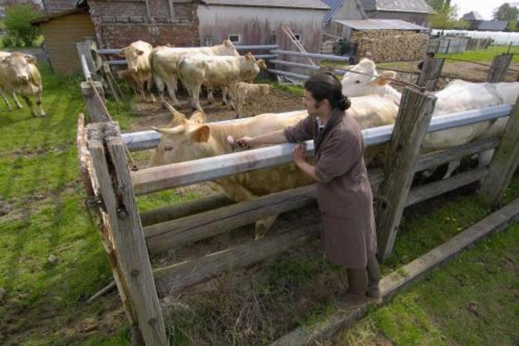 La caisse de solidarité santé animale « sera activée, cette année, pour la FCO ».