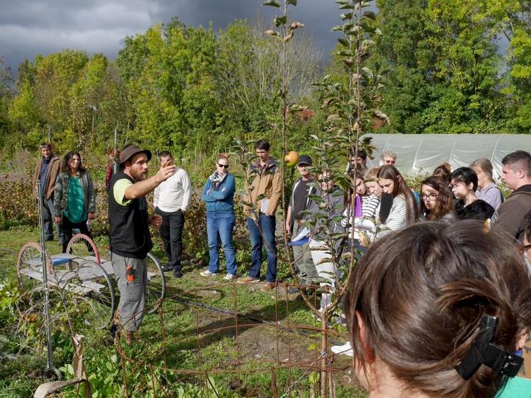 Début octobre, Matthieu Guillot ouvrait les portes de sa micro-ferme. L’occasion d’échanger sur ce modèle et sa place au cœur des territoires.