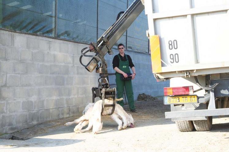 Un nouveau service d’équarissage a été mis en place en juillet 2009.