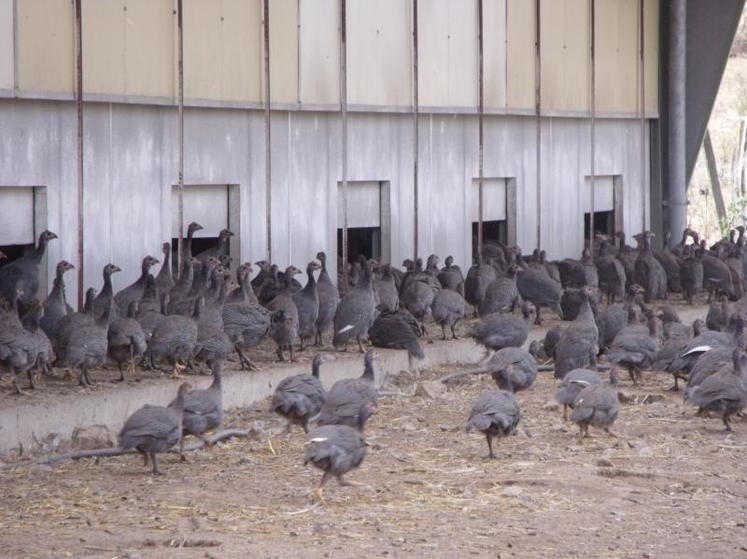 Cinq périodes de dépôt des demandes sont prévues jusqu’à 
la fin de l’année 2016.