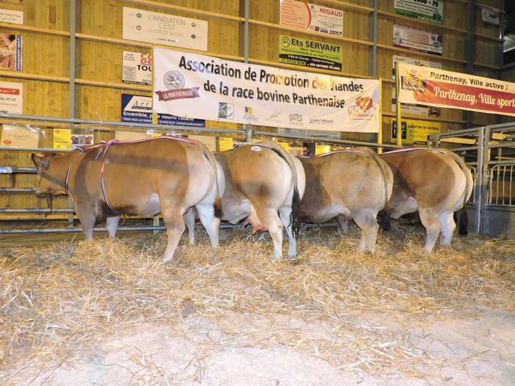 Outre le bovin d’or, attribué au Gaec La Gironnaise, à Foussais-Payré, le bovin d’argent est revenu au Gaec du Grand Coin, à Coulon ; le prix de la ville de Parthenay, au Gaec Chollet, à La Chapelle-Bertrand ; le grand prix naisseur-engraisseur, au Gaec du Peuplier, Somloire, dans le Maine et Loire et le grand prix du jeune bovin, à Patrice Nivault, de Soutiers.