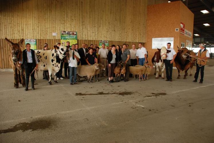 Sept cents animaux, 4 espèces, 13 races feront le spectacle au cours de ces trois jours au marché de Parthenay