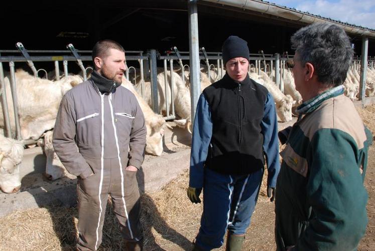 David Barreau, Cécile Brassac et Bernard Barreau, organisent en amont le chantier de pesée des veaux afin de gagner du temps.