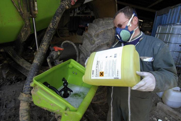 L’utilisation des produits phytosanitaires en agriculture ne cesse d’augmenter depuis 2009 (+5 % par an, en moyenne entre 2009 et 2013).