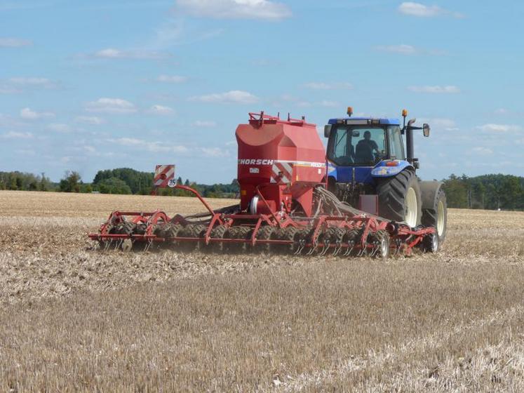 Objectif en Poitou-Charentes : obtenir une levée de colza début septembre et atteindre le stade 4 feuilles supportant les attaques d’altises et de limaces.