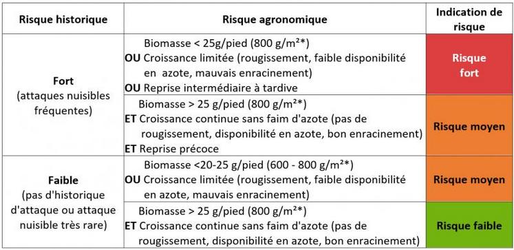 Grille de risque vis-à-vis du charançon du bourgeon terminal.
(* Attention à la surdensité : biomasse valable pour un peuplement maximal de 30-35 plantes/m²)