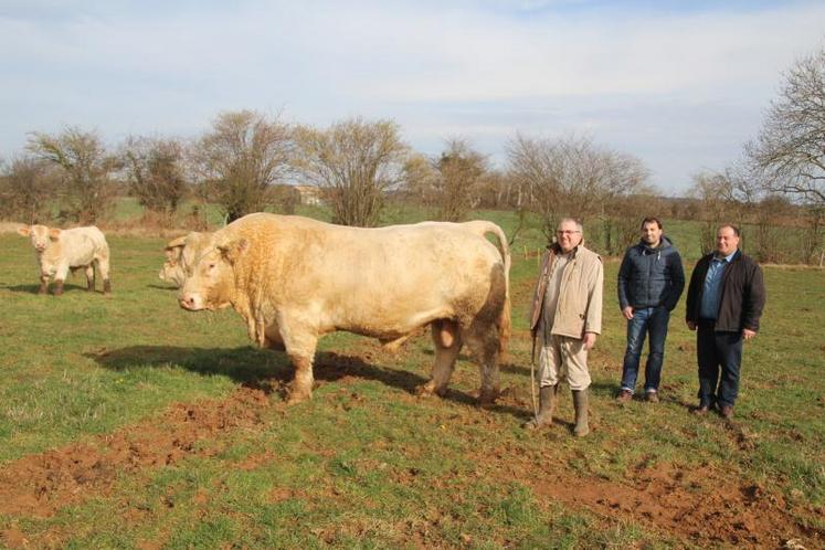 Trois éleveurs de Charolaises de la Vienne seront au SIA et SIMA