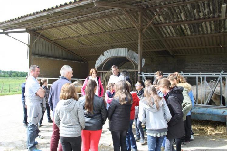 Des élèves de sixième du collège de Gémozac sont venus une matinée sur l'exploitation de Sébastien Mittard.