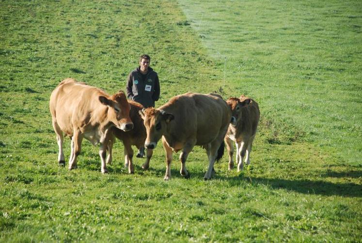 « La production de céréales n’a sa place qu’en complément de l'élevage. Effectivement, ici, le trèfle si riche pour les animaux, s’implante naturellement », souligne Jullien Dupuis.