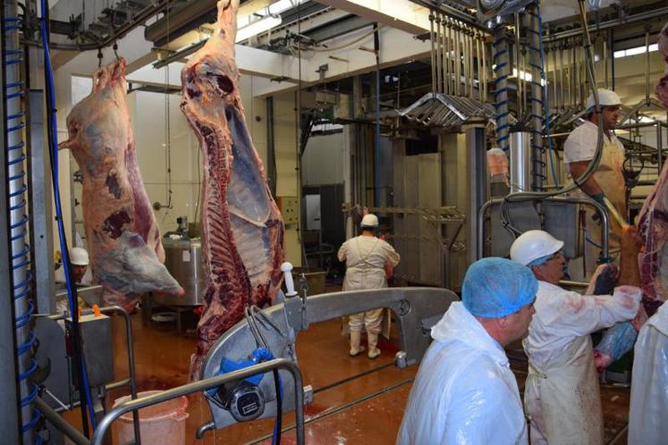 Le projet de création de Semop suit son cours pour remettre à flot l’abattoir de Confolens et sauvegarder les emplois.