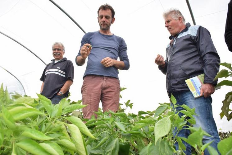 Agrobio Deux-Sèvres, en partenariat avec la chambre d’agriculture, va organiser en novembre le mois de la bio pour convaincre les exploitants des bénéfices de la conversion, comme ce fut le cas pour Christophe Bellin (au centre).