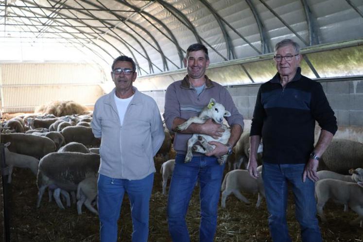 Alain Raynaud, Raymond Vallée et Francis Merlaud sont sur le pied de guerre pour l’organisation du prochain Comice agricole de la Charente Limousine.