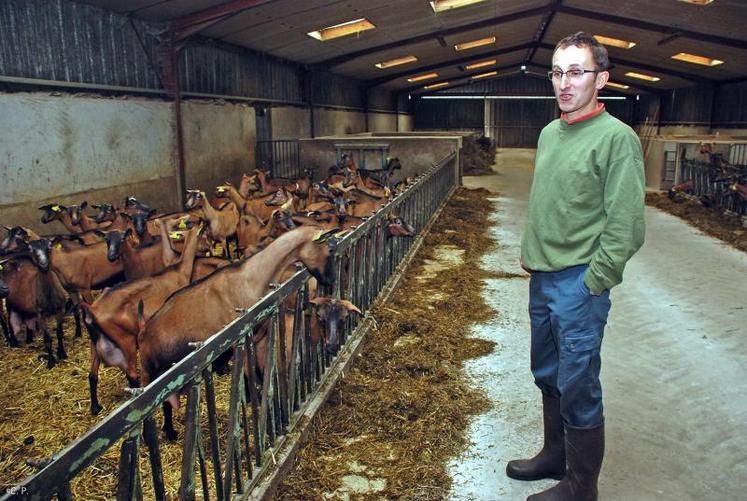 Pour sécuriser son système économique, Alain mise sur la production fourragère et la complémentarité avec le troupeau bovin.