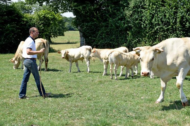 Frédéric Violleau présentera deux animaux : Jim, 5 ans, dans la catégorie mâle adulte, et Manhattan, 2 ans, dans la catégorie des 2 à 3 ans.