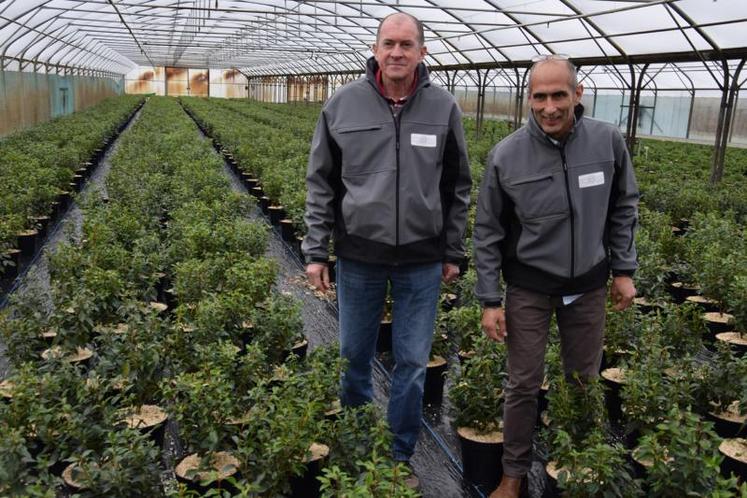 Jean-Marc Daganaud et Christian Mesmin ont mis en place des techniques alternatives pour réduire l’utilisation de produits phytosanitaires et favoriser le respect de l’environnement.