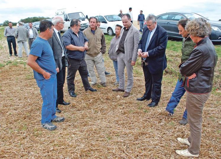 Des pois plaqués au sol donnent une idée de la violence des grêlons.