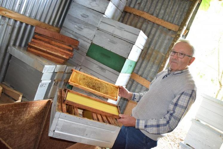 Avant de stocker les cadres, Michel Bonneau s’assure de leur nettoyage par les abeilles. L’absence de miel et de pollen réduit en effet le risque d’introduction de parasites.