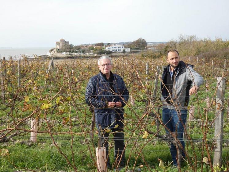 Jean-Jacques Vallée et Lionel Gardrat, deux des trois associés des Hauts de Talmont, au milieu des rangs de vigne du domaine. Une parcelle avec une vue imprenable sur le village de Talmont-sur-Gironde (où le domaine a sa boutique) et sur l’estuaire.