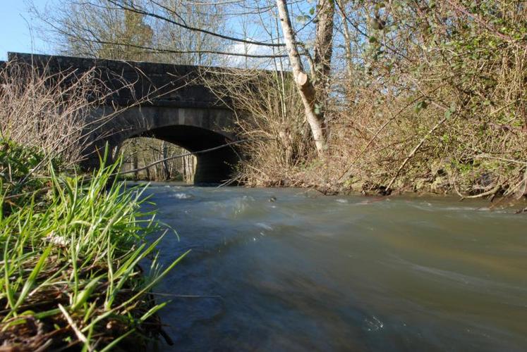 En Deux-Sèvres, 41 captages sur 90 sont classés en captages Grenelle, une classification qui concerne les zones à protéger
en raison de l’état qualitatif des eaux.