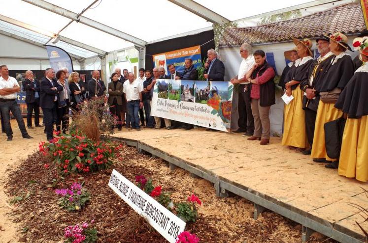 La confrérie de la Blonde d'Aquitaine a donné de la voix pour fêter l'annonce de la création de la Maison de la Blonde d'Aquitaine d'ici à 2020, à Sauveterre-de-Béarn, dans les Pyr&eacute