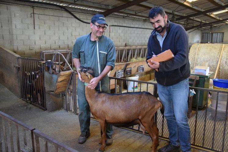 Bruno Fournier (à g.) cherche à obtenir le maximum de précision sur son troupeau grâce aux conseils de Cédric Desémery (à d.) de Copavenir.