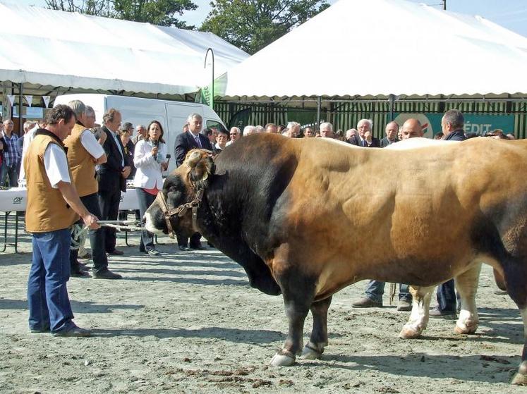 La présidente du conseil régional et le préfet ont inauguré le salon de Moncoutant.