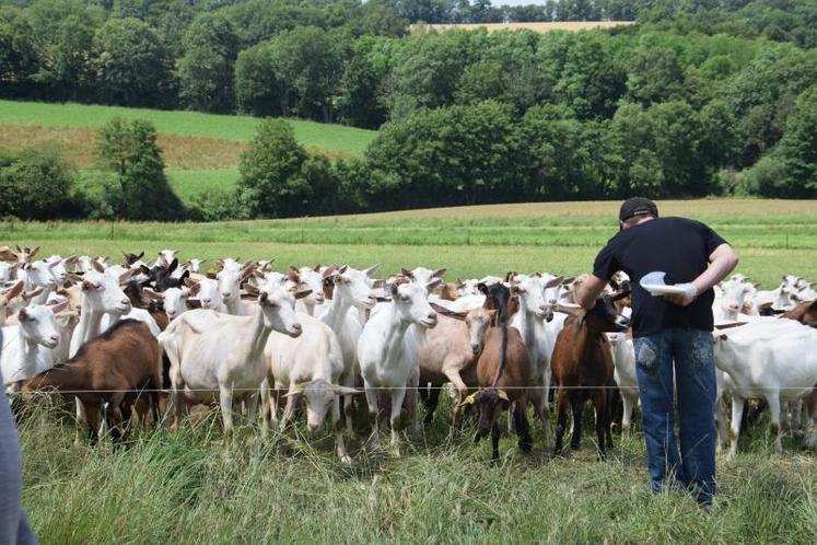 Images de cartes postales en Charente Limousine. De quoi séduire de futurs repreneurs d’exploitation ?