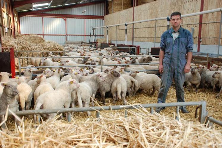 « Cet engagement des producteurs à coller au marché permet une meilleure valorisation de la production sur toute l’année », certifie-t-il.