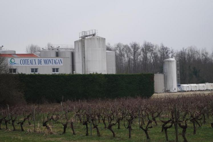 Le siège de la coopérative, créée il y a plus de trente ans, est situé à Gondeville.