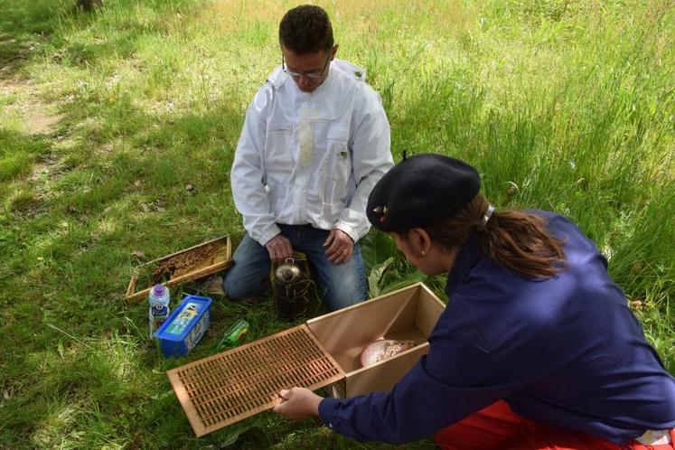 Le FabLab de Parthenay a collaboré avec la ville pour inventer ce piège à frelons asiatiques « différencié » qui épargnerait 
les autres espèces d’insectes. Les tests sont en cours.