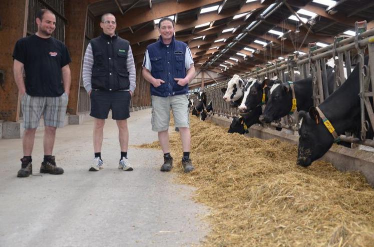 Cyril Drillaud, Ludovic Baudu et Lionel Barré, trois des associés du Gaec la Crétinière, né d’un regroupement de troupeaux il y a dix ans. Les éleveurs ont opté pour un système intensif cohérent avec leurs objectifs. En travaillant leurs coûts de production, ils l’optimisent.