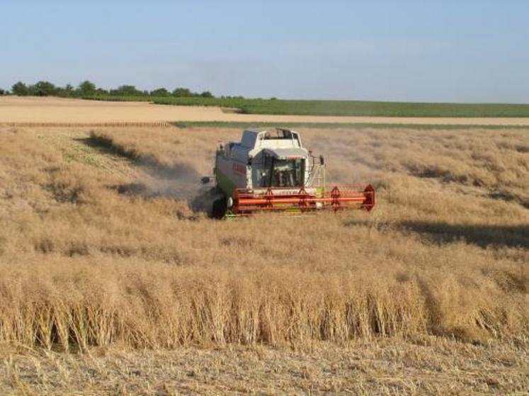 Les régions ou départements céréaliers tirent leur épingle du jeu, comme la Vienne en Poitou-Charentes.