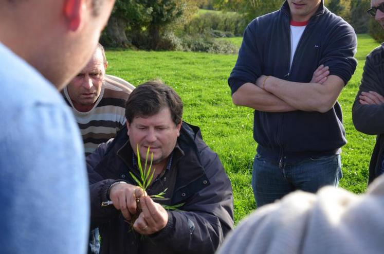 Savoir reconnaître et différencier les plantes d’une prairie est important pour évaluer son évolution. Pour Patrice Pierre, la botanique des prairies, c’est aussi « reconnaître les nuances de vert. »