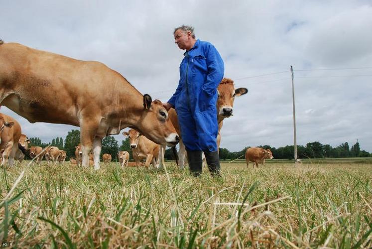 Alors que les céréaliers commencent à évaluer les pertes de rendements qu’ils pourraient enregistrer, une course est engagée pour trouver de la paille pour nourrir les animaux. La Fnsea79 encourage d’ailleurs les éleveurs à ne pas broyer la paille.