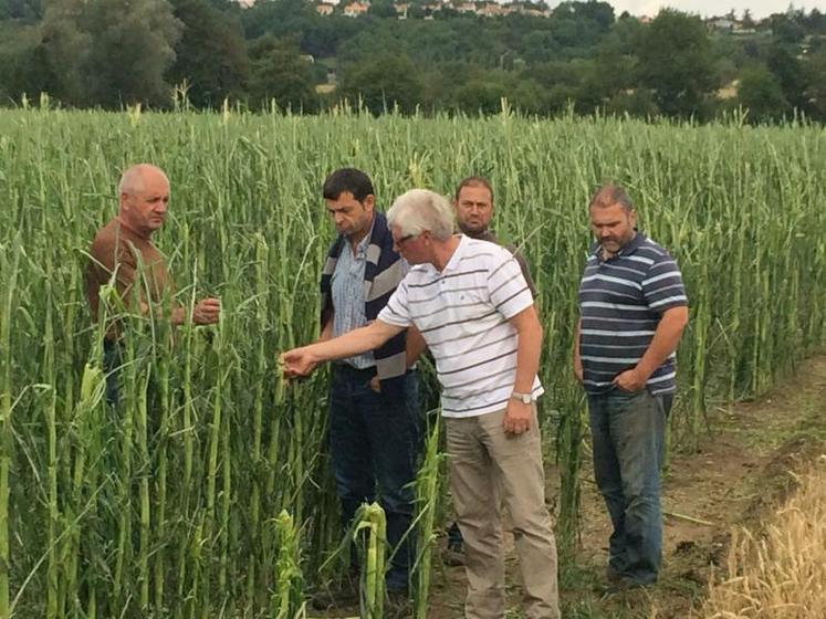 Des responsables syndicaux et de Groupama se sont rendus auprès des agriculteurs de la zone touchée par la grêle qui est tombée le 9 juillet.