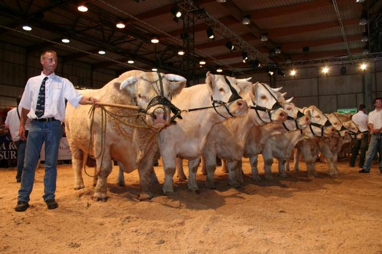 Prix d’ensemble étables de plus de 70 vaches (catégorie 2) au Gaec Clame et Aubouard (Allier).