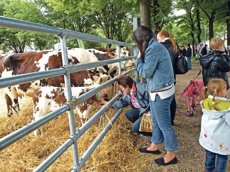 Le public parisien est venu à la rencontre des éleveurs et des animaux.